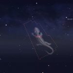 Созвездие Ящерица
